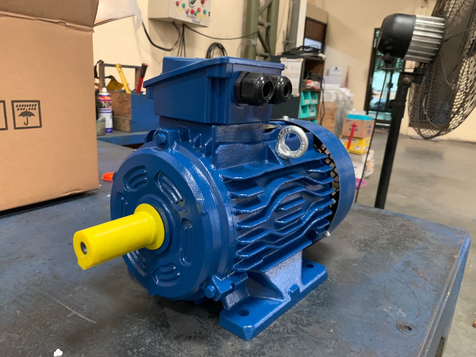 Dinamo Motor 3 Phase